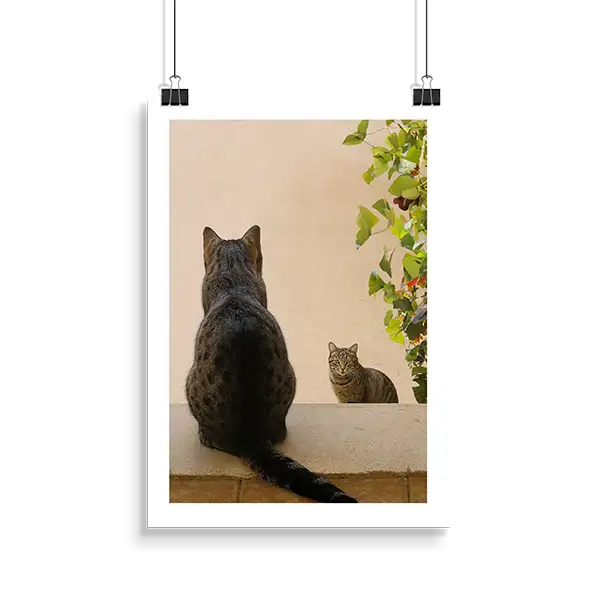 Hängendes Plakat mit Beispieldruck
