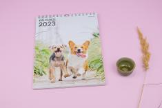 Deckblatt Motivkalender Tiere 2023