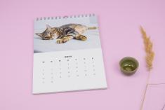 Motivkalender mit Tierfotos im A4-Hochformat