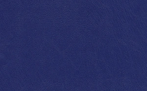 Buchlederstoff, navy
