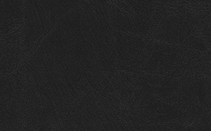 Buchlederstoff, schwarz